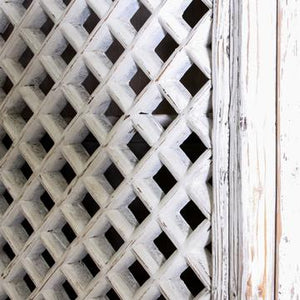 Vintage Chinese 2 Door Cabinet