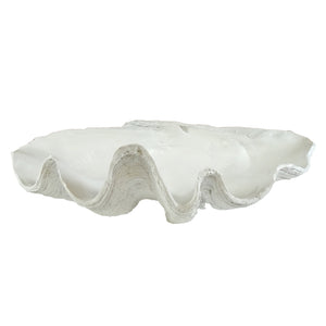 Clam Shell Decor 69cm