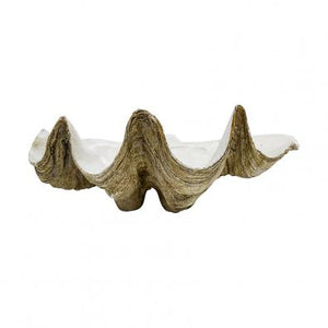 Clam Shell Decor 51cm