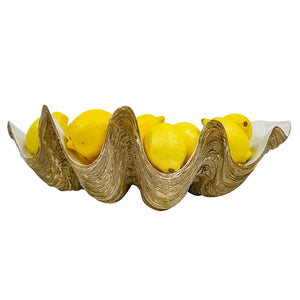 Clam Shell Decor 51cm