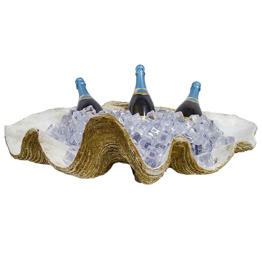 Clam Shell Decor 69cm